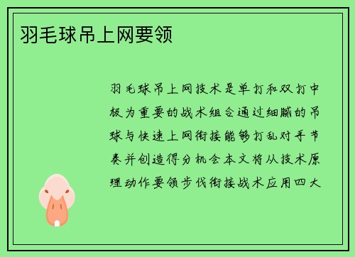 羽毛球吊上网要领