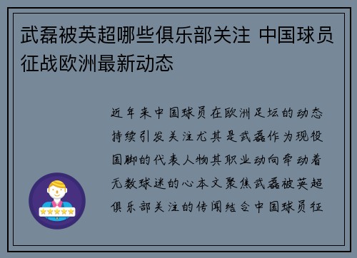 武磊被英超哪些俱乐部关注 中国球员征战欧洲最新动态